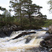 Glen Affric #5