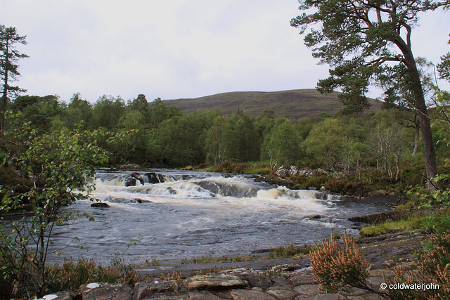 Glen Affric #3