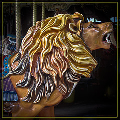 Carousel Lion Headstudy