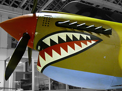 Snarling Warhawk