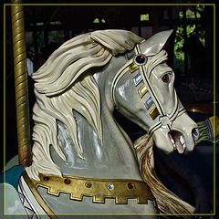 Carousel Horse in Grey: Headstudy