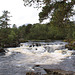 Glen Affric #2