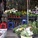 Plant stall