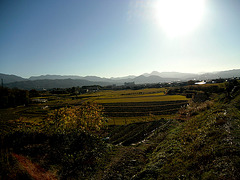 Umenomoto countryside