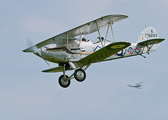 Hawker Demon