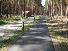 Fläming-Skate StreckeS13 in Richtung Buckow