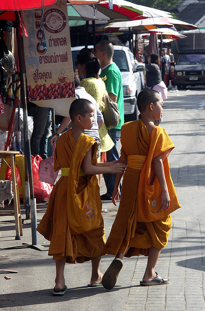 Baby monks