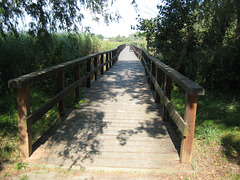 Fischersteig am Blankensee