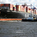 Containerschiff  VENEZIA bei der Drehung