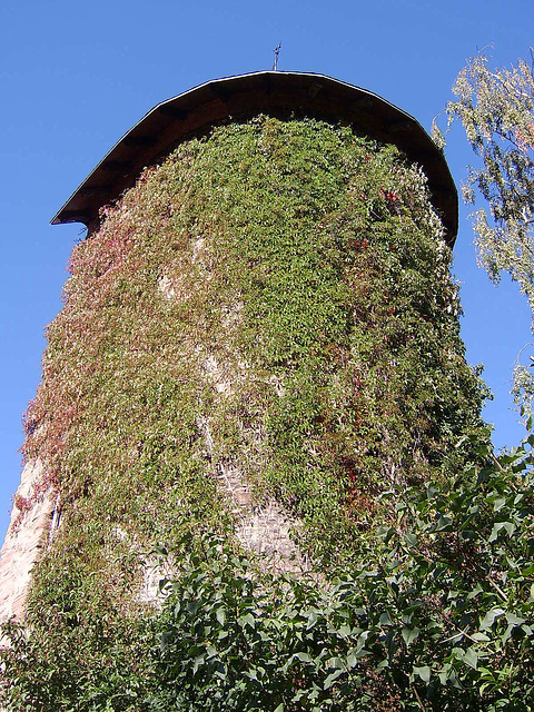 Halbschalenturm (Half-Tower)