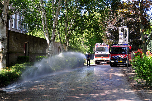 The fire department's response to photographers