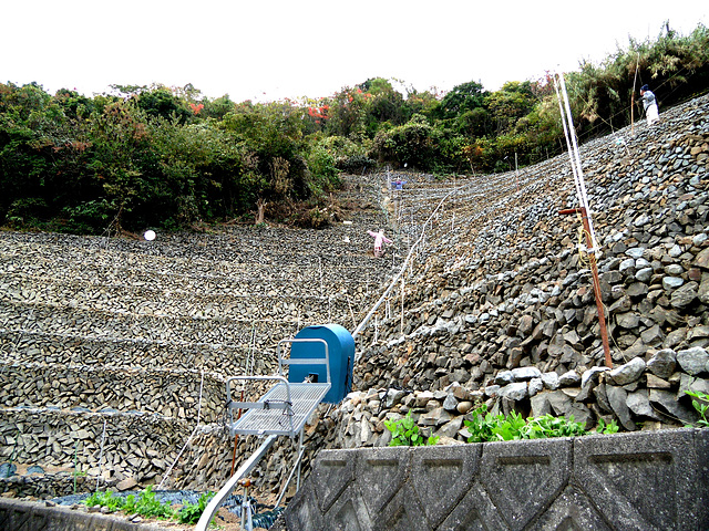 stepped fields