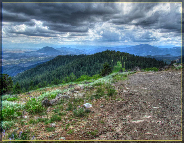 Soda Mountain Vista with Road