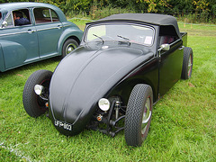 hpomraug293031 (1158)