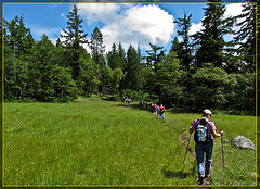 MeetUp Hikers Heading out to Hobart's Bluff