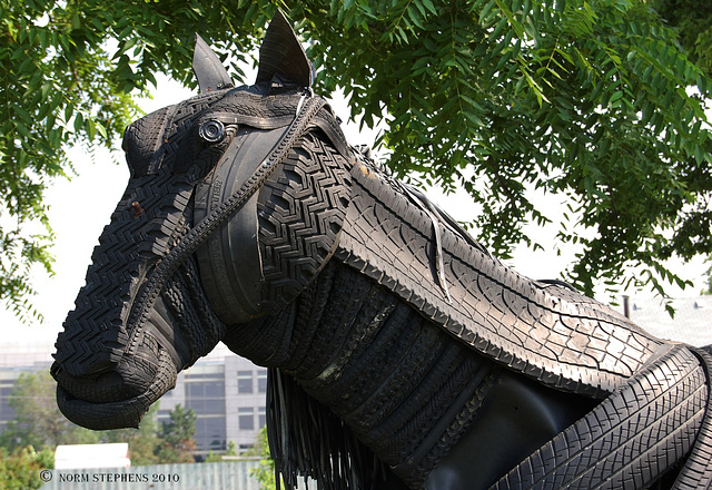 Horse of a Different Texture