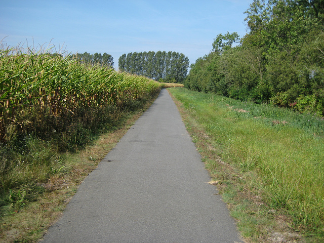 Radweg Gottow - Scharfenbrück bei Schöneweide