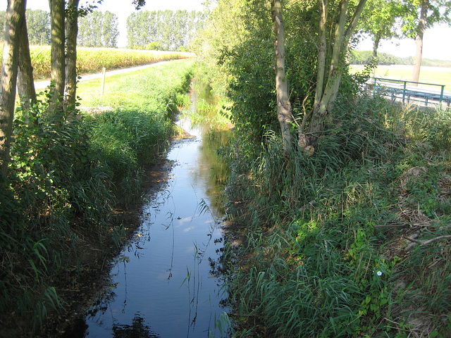 Flotter Graben bei Schöneweide