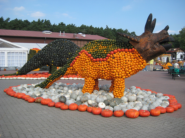 Klaistow - Kürbisausstellung 2012