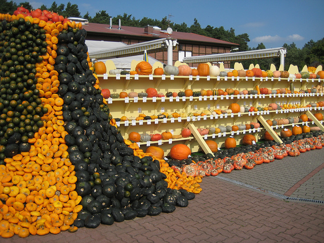 Klaistow - Kürbisausstellung 2012