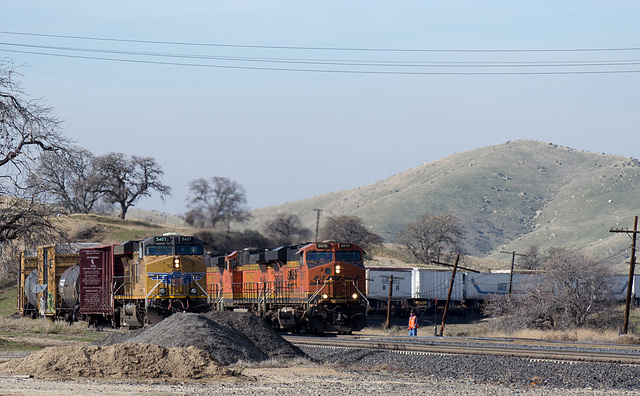 Bealville, UP & BNSF  (0464)