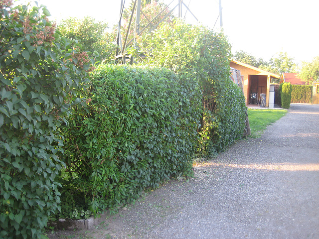 Garteneingang