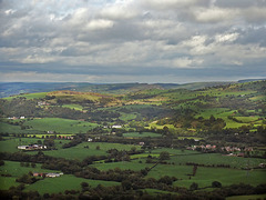 Rough Hay from Bosley Cloud