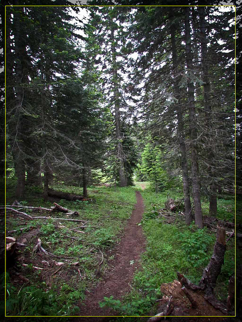 Trail to Hobart's Bluff