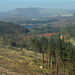 Macclesfield Forest