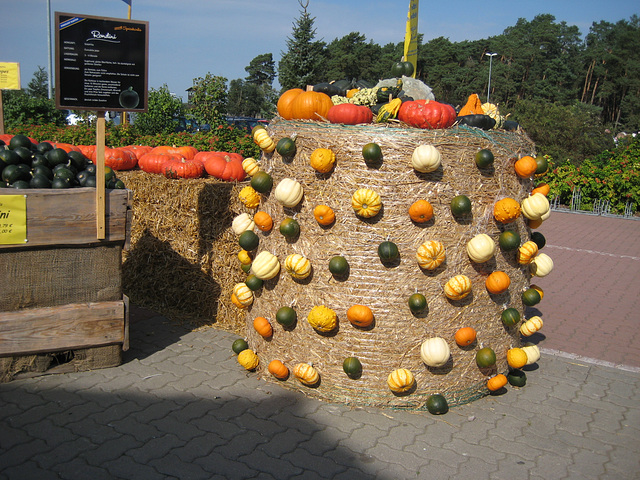 Klaistow - Kürbisausstellung 2012