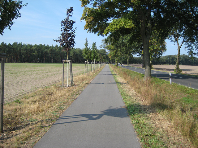 Radweg Groß Schulzendorf - Ludwigsfelde