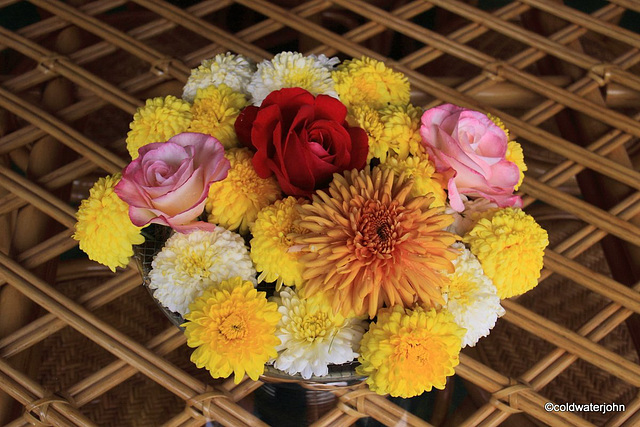 September Courtyard flowers