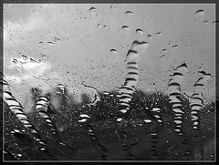 Water Racing up the Windshield