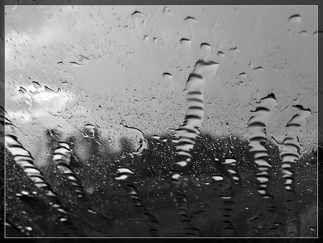 Water Racing up the Windshield