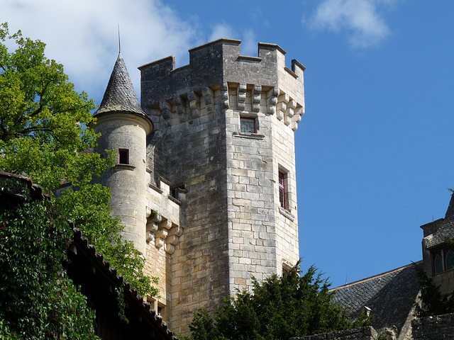 Dordogne- Chateau Montfort