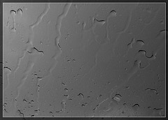 Rain on the Windshield 2