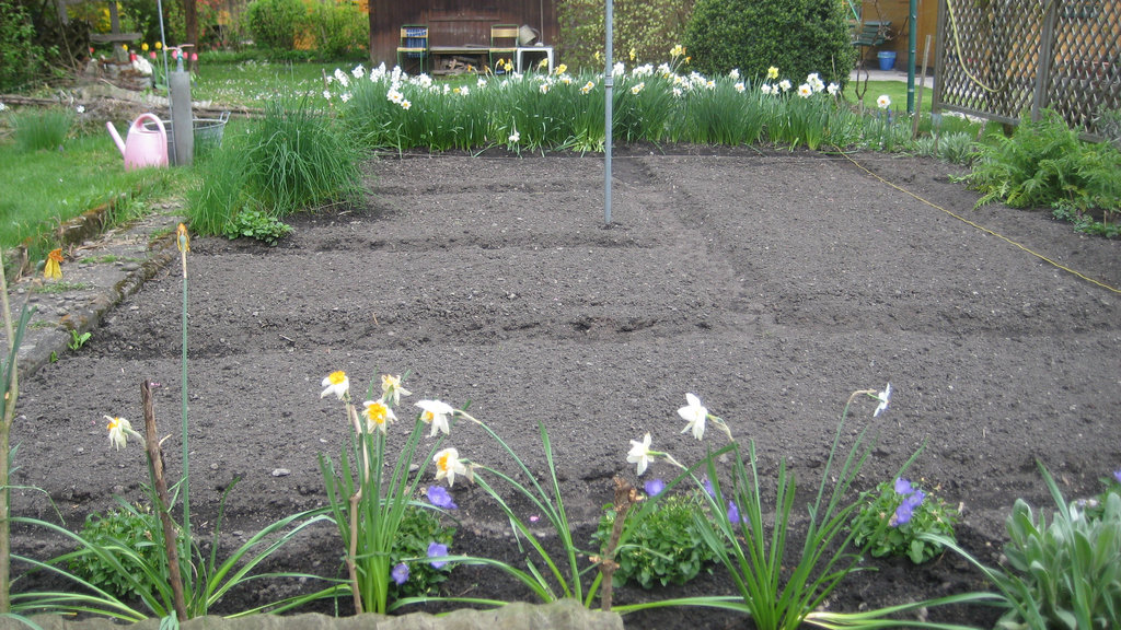 Überblick über den Garten - bald wird gepflanzt