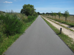 Fläming-Skate Strecke S12 zwischen Schlenzer und Wahlsdorf