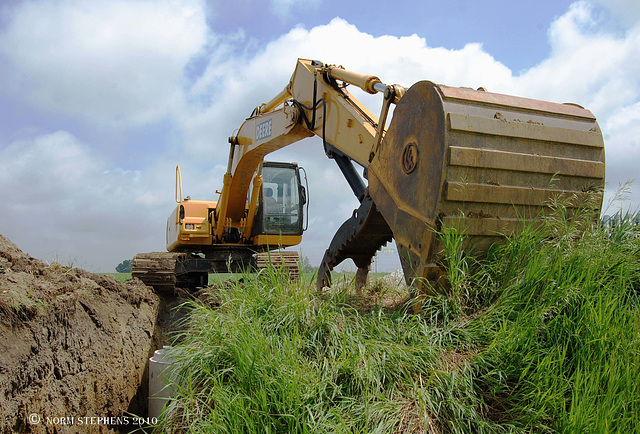 Give Me a Home where the Diggers Roam