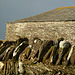 trebarwith farm, cornwall