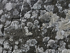 altarnun church , cornwall