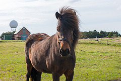 Hallo...  - 20130515