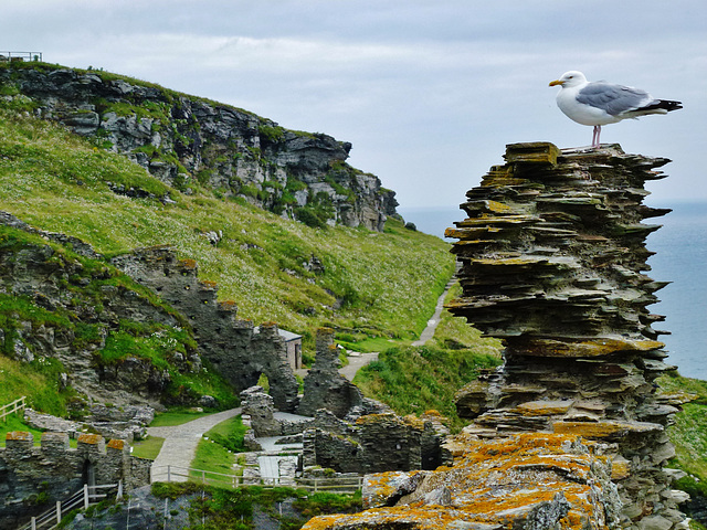 tintagel castle, cornwall