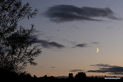 New Moon in an early evening sky