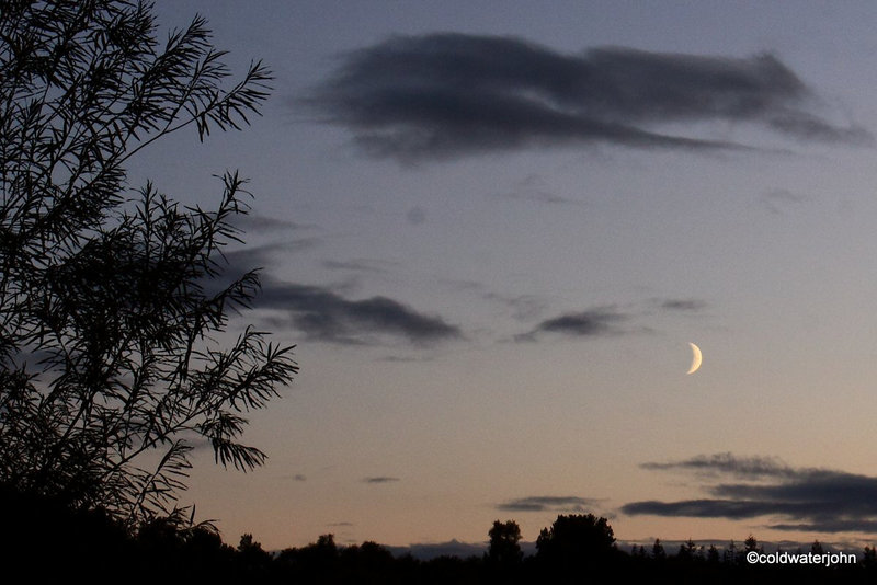 New Moon in an early evening sky