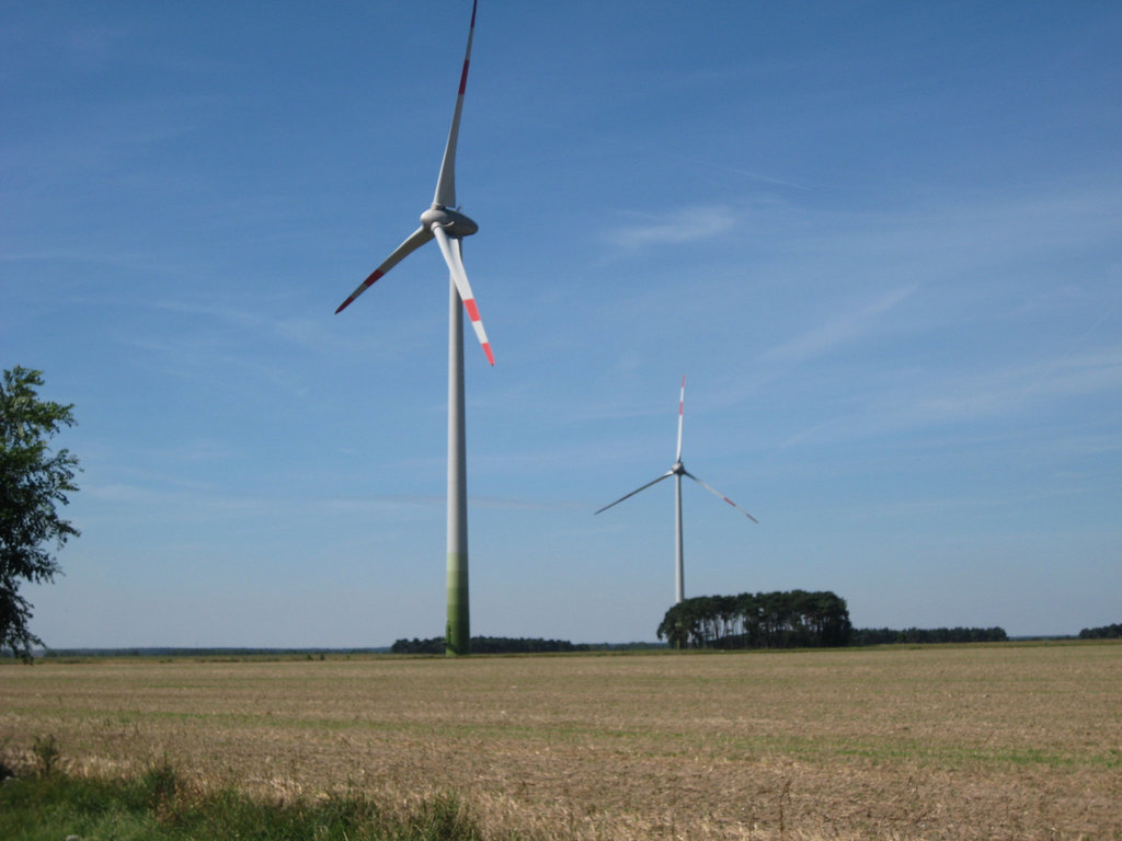 Windstille am Fläming-Skate