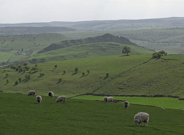 Parkhouse Hill