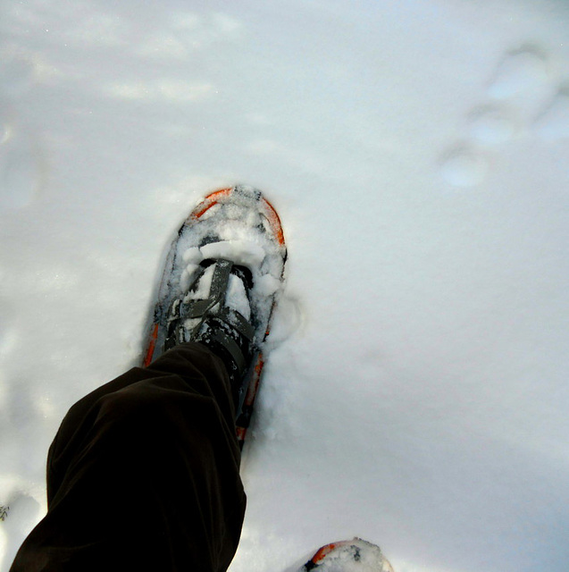 snowshoeing