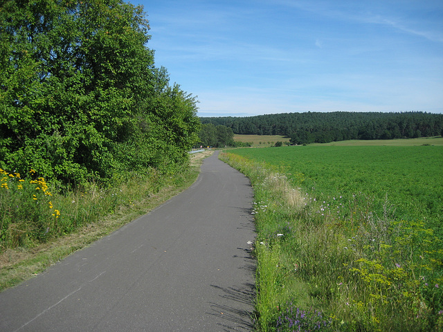 Fläming-Skate Rundkurs1 zwischen Petkus und Ließen