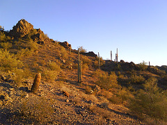 On Picacho peak, waiting for sunset